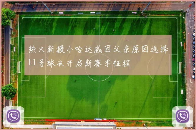 热火新援小哈达威因父亲原因选择11号球衣开启新赛季征程