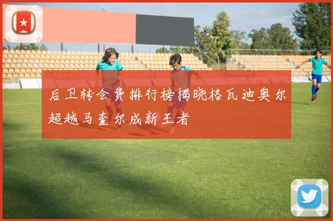 后卫转会费排行榜揭晓格瓦迪奥尔超越马奎尔成新王者